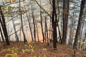 VIDEO FOTO Incendiul din Pădurea Măgura – Cum evoluează situaţia