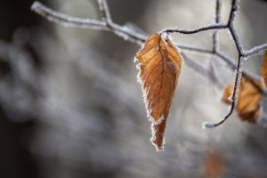 Aerul polar loveşte România! Frigul se instalează din această după-amiază şi aduce ploi şi ninsori