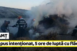 NEAMȚ: Incendiu pus intenţionat, 5 ore de luptă cu flăcările