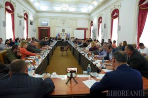 Lăsată de Guvern fără bani, DGASPC Bihor a primit de la Consiliul Judeţean fondurile necesare pentru a plăti salariile pe luna viitoare