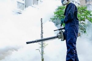 Acţiune de deratizare pe raza municipiului Târgu-Mureş