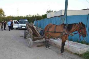 Accident încheiat cu o bătaie la Nou – Bărbat arestat după ce a dat cu bâta în cap unui sătean