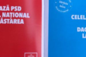 PSD a încălcat legea! 200.000 de materiale de propagandă electorală au fost interzise!