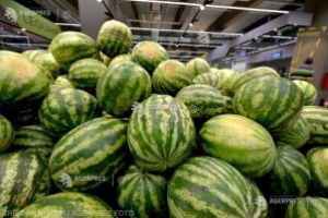 Carrefour România a trimis anul acesta 60 de tone de pepeni româneşti în reţeaua sa din Polonia; 200 de tone în 2020