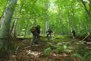 Preşedintele Silva: Am primit asigurări că proiectul de modificare şi completare a statutului personalului silvic va fi legiferat în circa 3 săptămâni