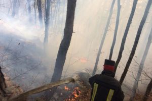 Ajutor divin pentru stingerea incendiului de pe Măgura – Ploaia a oprit flăcările