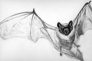 „Credinţe poporale bucovinene”(I)