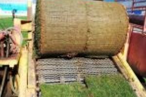 Vreme de numărat bani şi de pus gazonul pe „Oblemenco”. Au sosit primele rulouri de iarbă