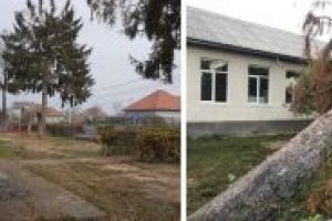 Primarul Bujorel a taiat bradul, care zacea in fata scolii din Hideaga (FOTO)