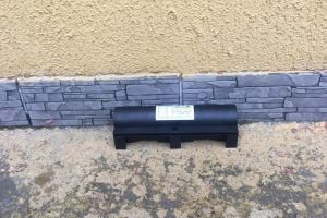 Noiembrie vine la Sibiu cu o nouă acţiune de deratizare