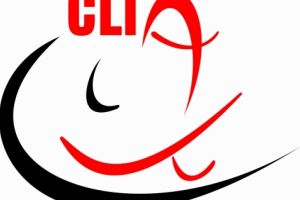 Alegeri pentru Consiliul Local al Tinerilor din Alexandria