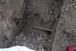 FOTO ȘOCANT! Cadavru dezgropat de un urs într-o localitate din Mureş!