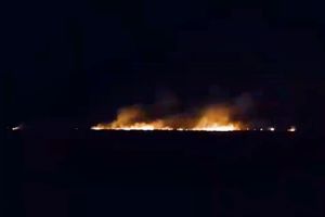 VIDEO. Incendiu lângă Aeroportul Satu Mare. Intervenţie în forţă a pompierilor