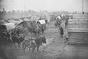 „Târgul de scânduri din Suceava”