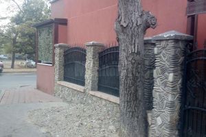 Asfaltarea copacilor, repetată în municipiul Suceava