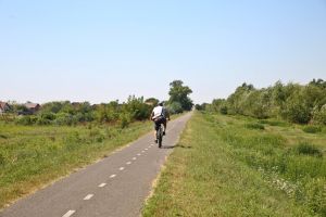 Cine va avea grijă de pista de biciclete de pe malul Begăi? Bojin: „Din decembrie rămâne fără stăpân”