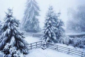 Ninge ca-n poveşti în România. Au început să se arate primele semne ale iernii VIDEO