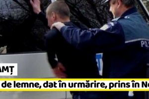 NEAMȚ: Hoţ de lemne, urmărit naţional, prins în Neamţ