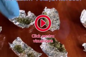 Opt indivizi suspecţi de trafic cu ecstasy au fost arestaţi de judecători