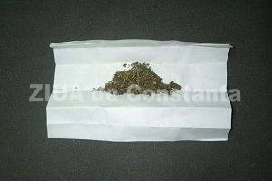 Legea privind legalizarea canabisului in scop medical, adoptata tacit de Senat (document)