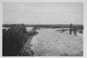 #DobrogeaDigitala Marturii de epoca privind istoria Dobrogei (1878-1947)“:  Despre colonizarea Dobrogei si relele facute din cauza unei proaste si nepatriotice administratiuni