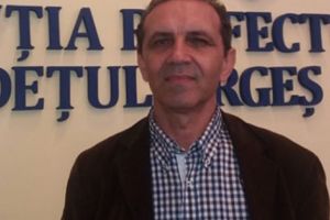 Emilian Dragnea, pe făraş