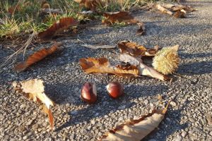 Weekend cu vreme în încălzire. Duminică maximele ating 20 de grade Celsius!