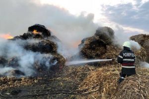 Hoţ şi piroman: Un bărbat din Bihor care a comis 13 furturi şi a incendiat magaziile unor fermieri a fost arestat