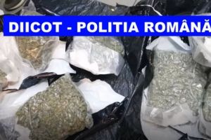 DIICOT : Trafic international de droguri. In portbagajul unui autoturism de pe A2, cannabis