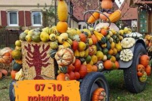 Un renumit bucătar de la Masterchef va găti pentru braşoveni