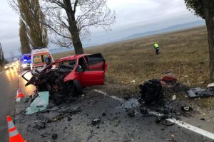 Accident mortal la Albesti. Un sofer a intrat cu masina in copac, pasagerul a decedat