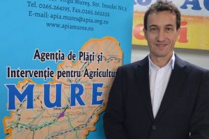 Anunţ făcut de APIA. Mureşenii, fruntaşi la creşterea vacilor de lapte