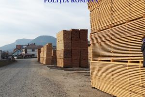 Fondul forestier national, in atentia oamenilor legii. Ce sanctiuni au fost aplicate (galerie foto)