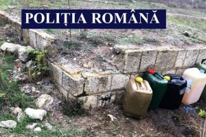 Politia Transporturi Constanta: Perchezitii domiciliare pe raza localitatilor Poarta Alba si Nisipari. Ce s-a descoperit (galerie foto)