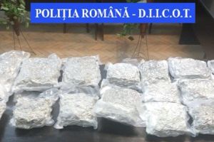 Opt kilograme de canabis descoperite în bagajul unui traficant care venea cu autocarul în ţară