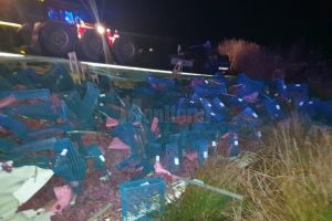 Tir încărcat cu struguri rasturnat la intrarea în Siret