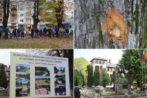 FOTO| Protest spontan în parcul din centrul oraşului Câmpeni, pentru a salva de la tăiere mai mulţi arbori falnici, consideraţi o mândrie a localităţii