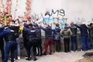 Bătaie între suporterii FC Petrolul şi ai ASU Poli Timişoara: 91 de ultraşi, reţinuţi