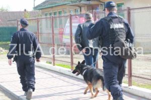 Judetul Constanta: Continua cautarile copilului din localitatea Pecineaga (galerie foto)