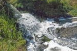 Fermierii din Banat învaţă noile măsuri pentru protejarea apelor de nitraţi!