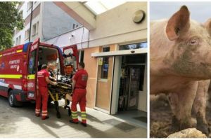 Un bărbat a ajuns la spital după ce s-a înjunghiat încercând să taie porcul
