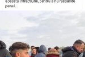 Ștefan Stoica, preşedintele PNL Dolj: Să-ţi fie ruşine, PSD! Să-ţi fie ruşine, Lia Olguţa Vasilescu!