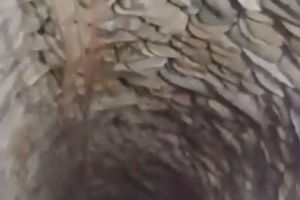 O femeie a murit după ce a căzut într-o fântână, la Prundu Bârgăului (VIDEO)