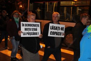 Cei mai buni apărători ai aurului verde sunt chiar oamenii. Cum a fost Marşul pentru păduri la Bistriţa