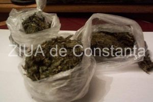 Sondaj de opinie: Sunteti de acord cu legalizarea in Romania a canabisului, in scopuri medicale?