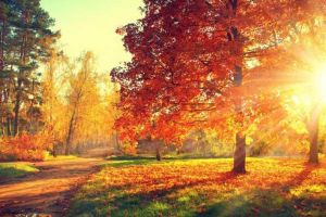 După frig, în noiembrie vine vara. Prognoza până în decembrie