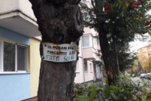 Fotografia zilei: Se cauta solutii…, strada Matei Basarab, Baia Mare