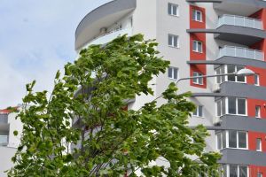 Cod galben de vânt în Bihor: rafale de până la 70 de kilometri pe oră!