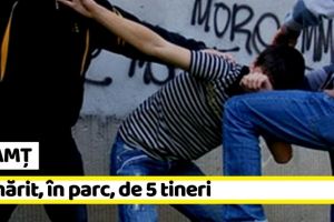 NEAMȚ: Tâlhărit, în parc, de 5 tineri