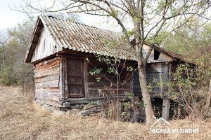 Zeci de mori de apă din Banat au fost descoperite de voluntari